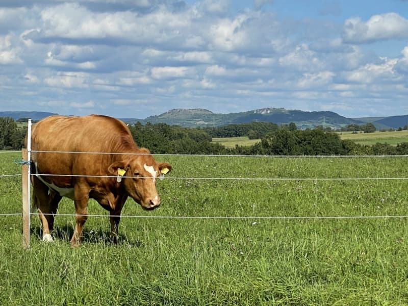 Die liebe Hildegard vor dem Walberla