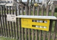 Automat, SB-Hofladen oder Verkaufsstand von Imkerei Meyer