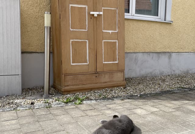 Eier-Häusla in Mergners, Betzenstein